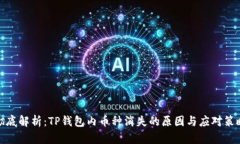 彻底解析：TP钱包内币种消失的原因与应对策略