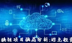 2023年最新区块链项目骗局分析：避免投资风险的